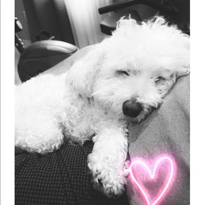 Meet your Posher, Michelle